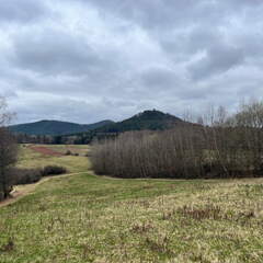 24-03-01 11-44-58 8863